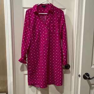 The Limited Pink polka dot shirt dress